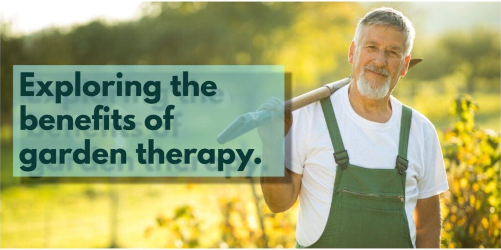 Garden Therapy: The Benefits of Easy Gardening for Seniors