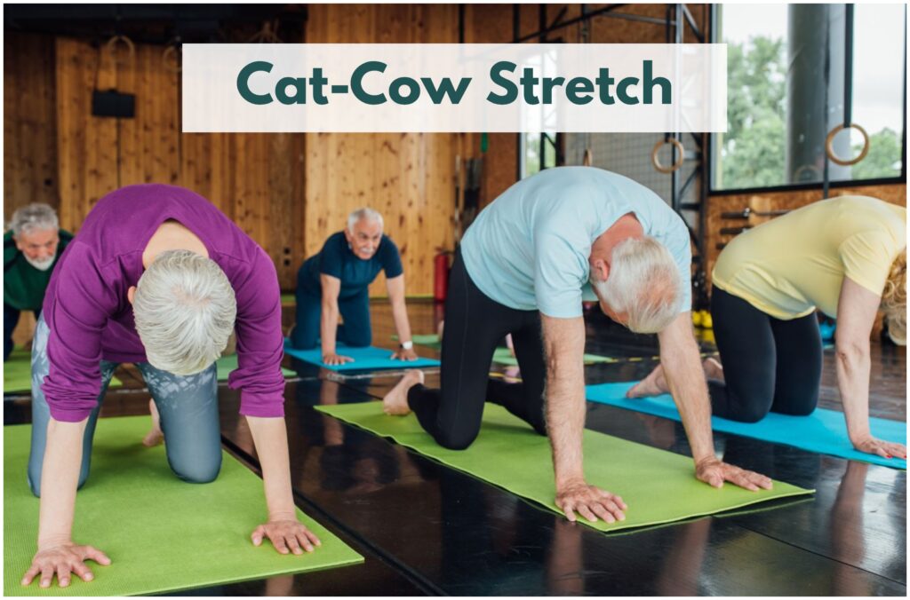 Cat-cow yoga pose benefits seniors' spine, posture, and flexibility.