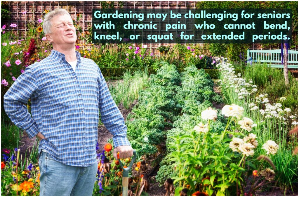 A senior suffering from back pain while gardening
