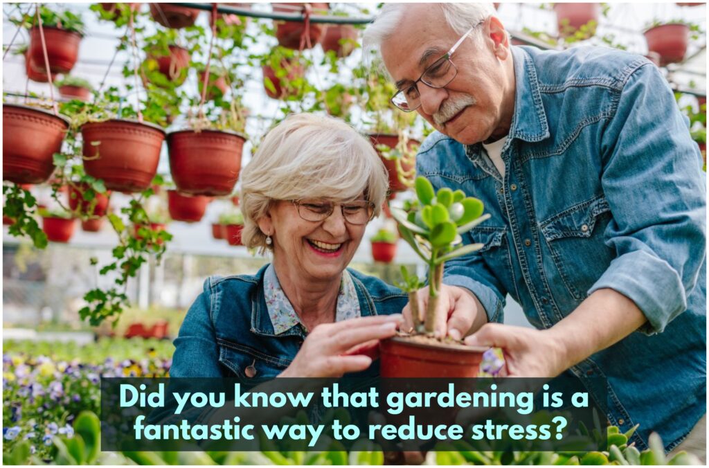 lovely senior couple enjoying the benefits of gardening