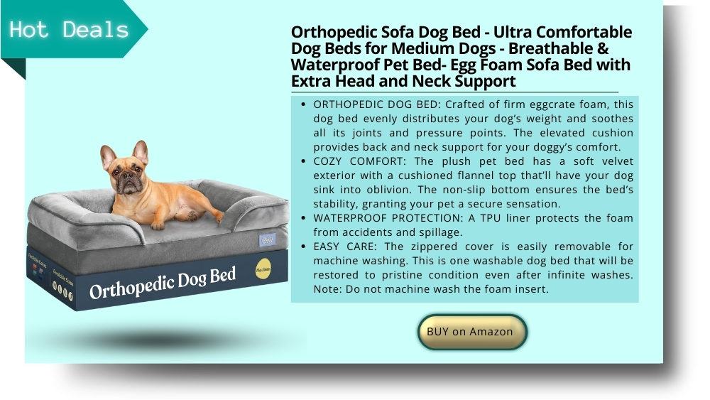 orthopedic sofa dog bed