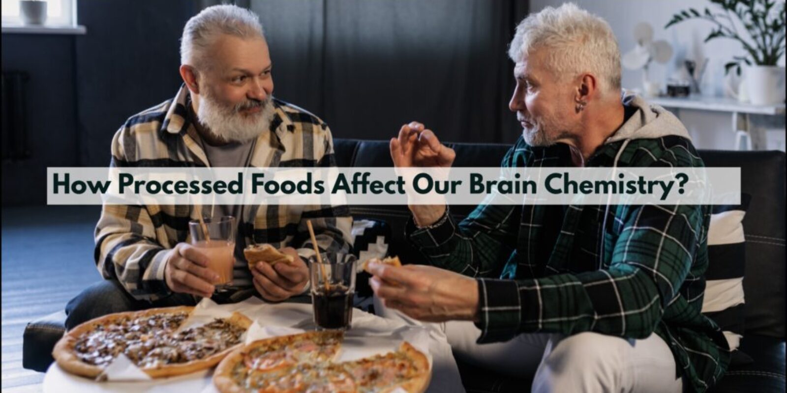 How Processed Foods Affect Our Brain Chemistry