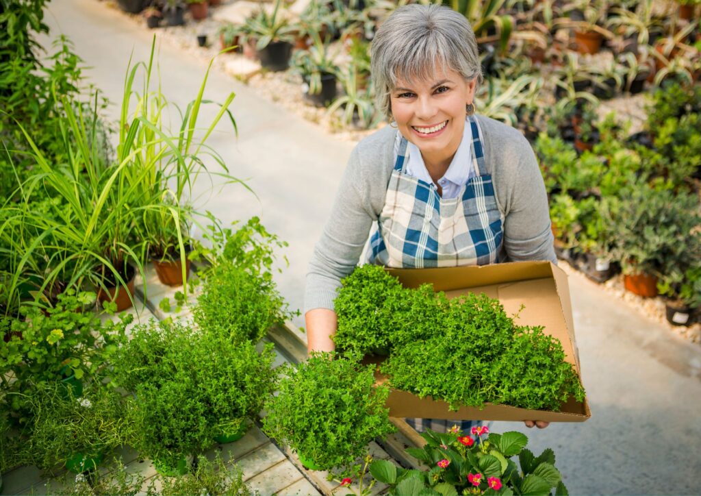 Vertical gardening is great for seniors with limited mobility or outdoor space.