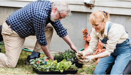 Sowing Seeds of Savings: Plan and Design a Senior Garden Without Breaking the Bank