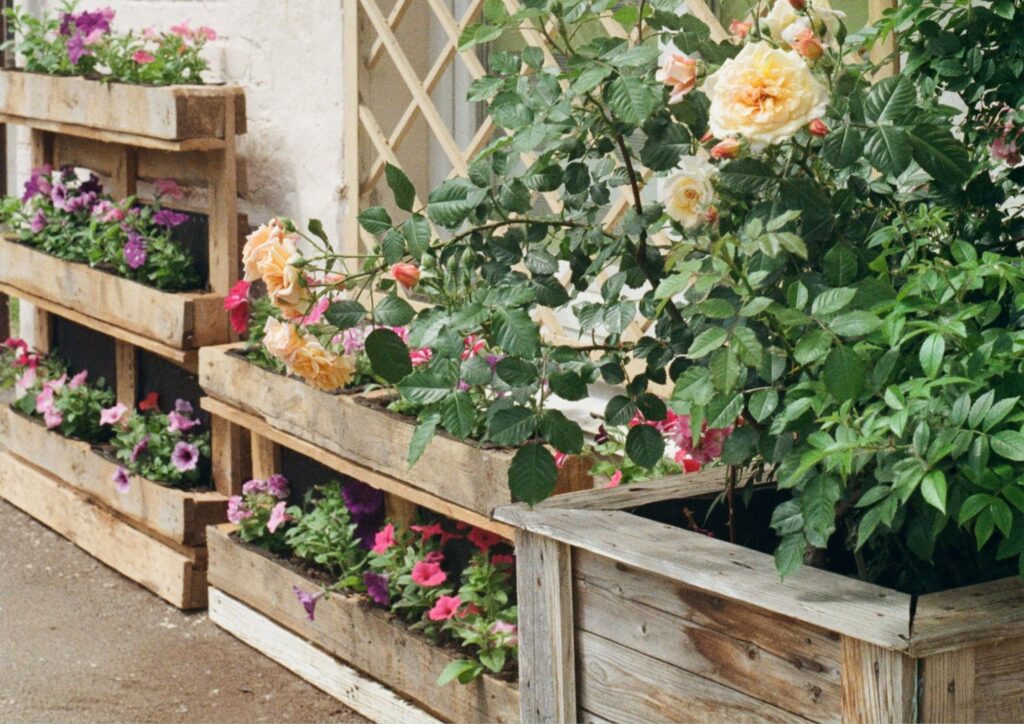 Wooden boxes and pallets enhance senior gardens with raised beds, reducing strain.