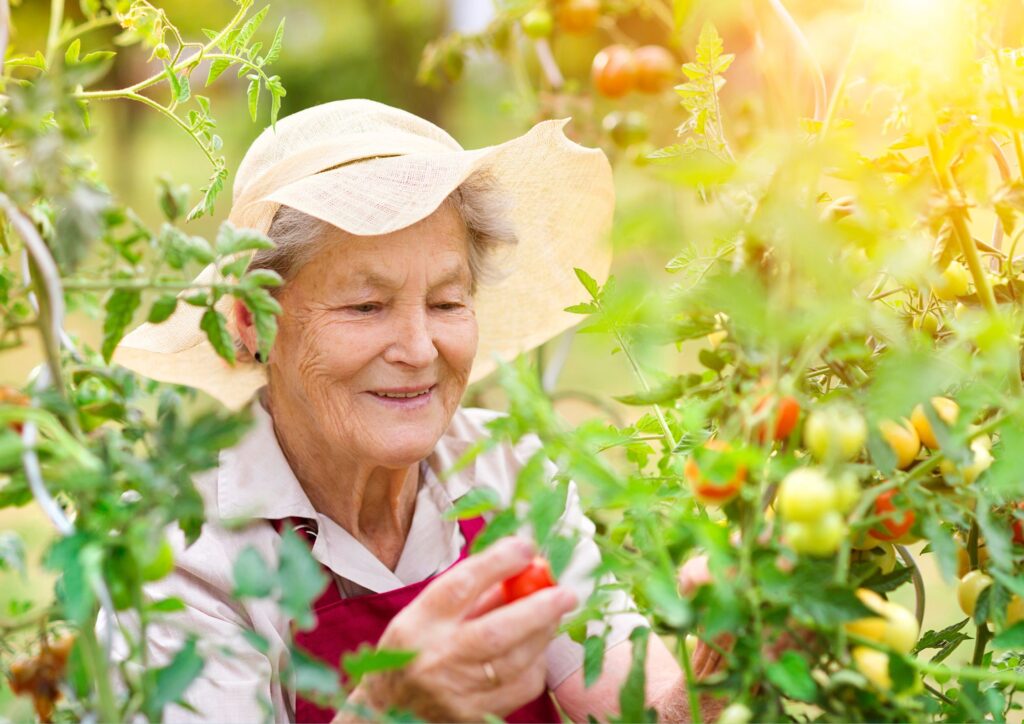 Affordable senior gardens promote well-being, relaxation, and socialization while saving money.