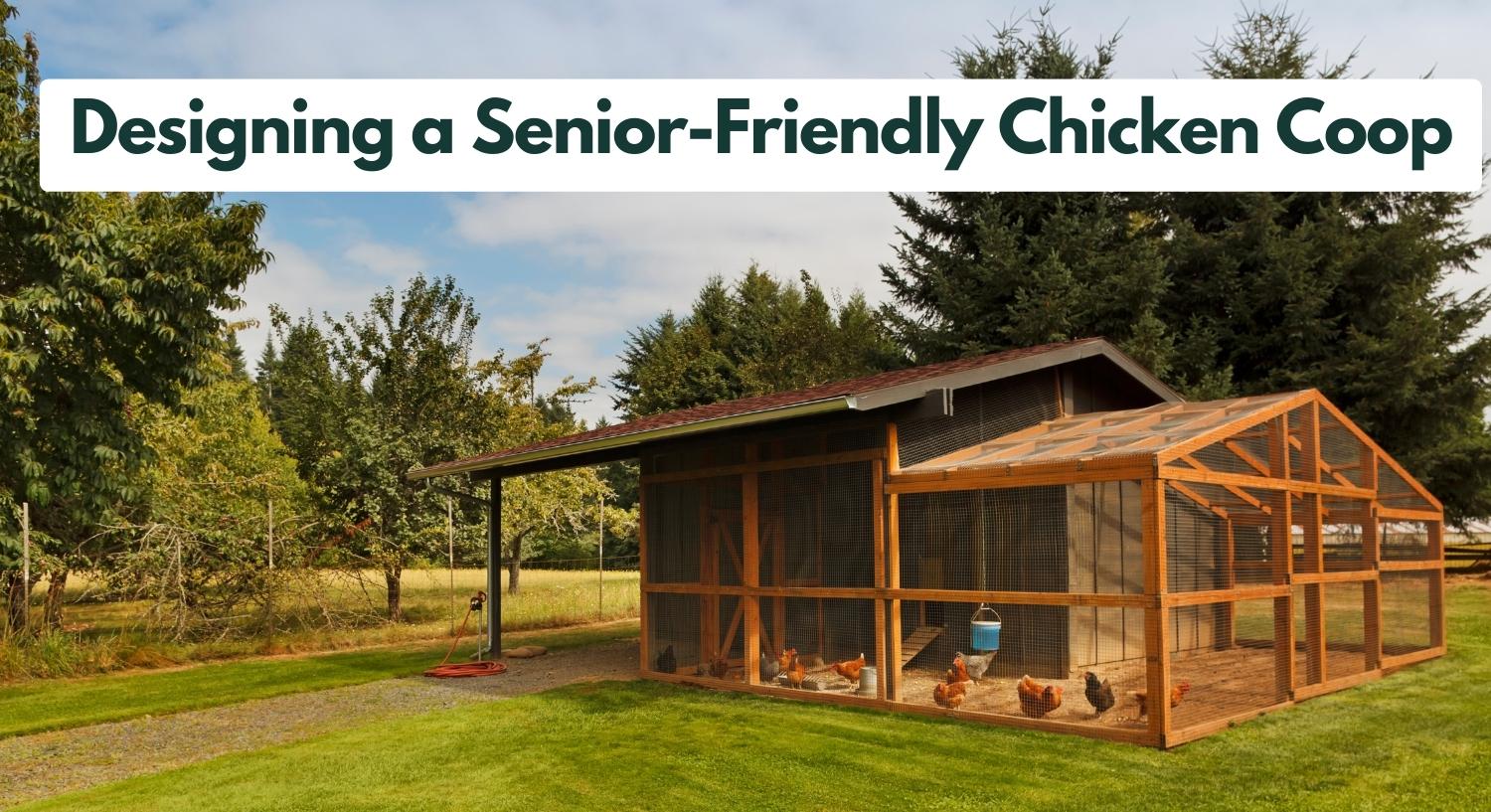 Premade Chicken Coops: Creative DIY Projects for Senior Chicken Enthusiasts