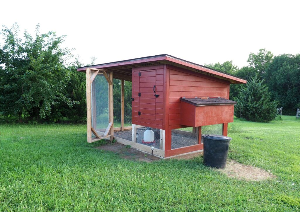 Expert-guided chicken coops come equipped with nesting boxes, perches, and ventilation systems.