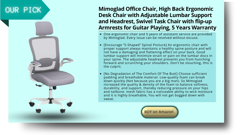 High Back Ergonomic Desk Chair