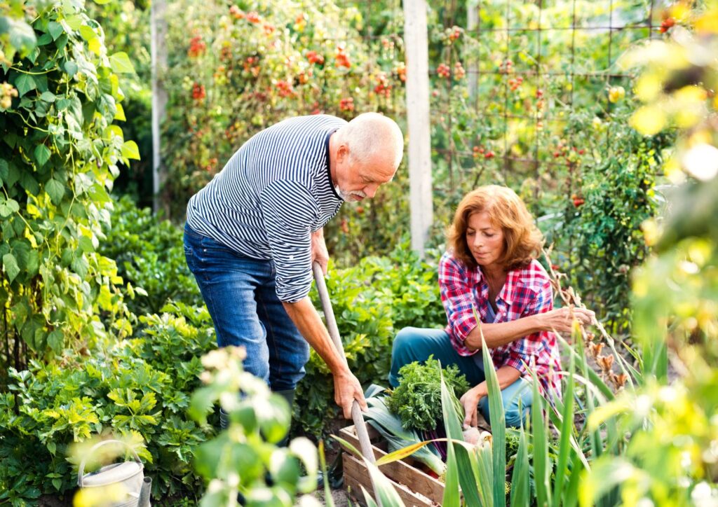 Gardening isn't just a hobby; it's a lifelong passion, growing with age.
