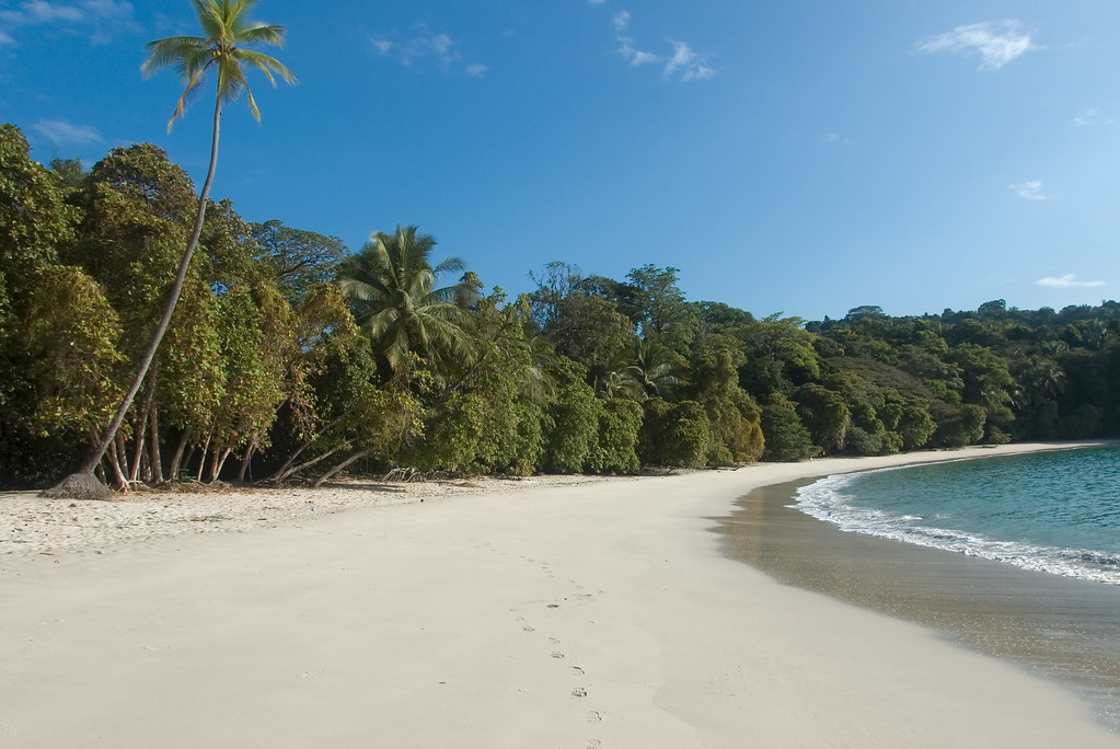 An image of the Manuel Antonio National Park in Costa Rica.