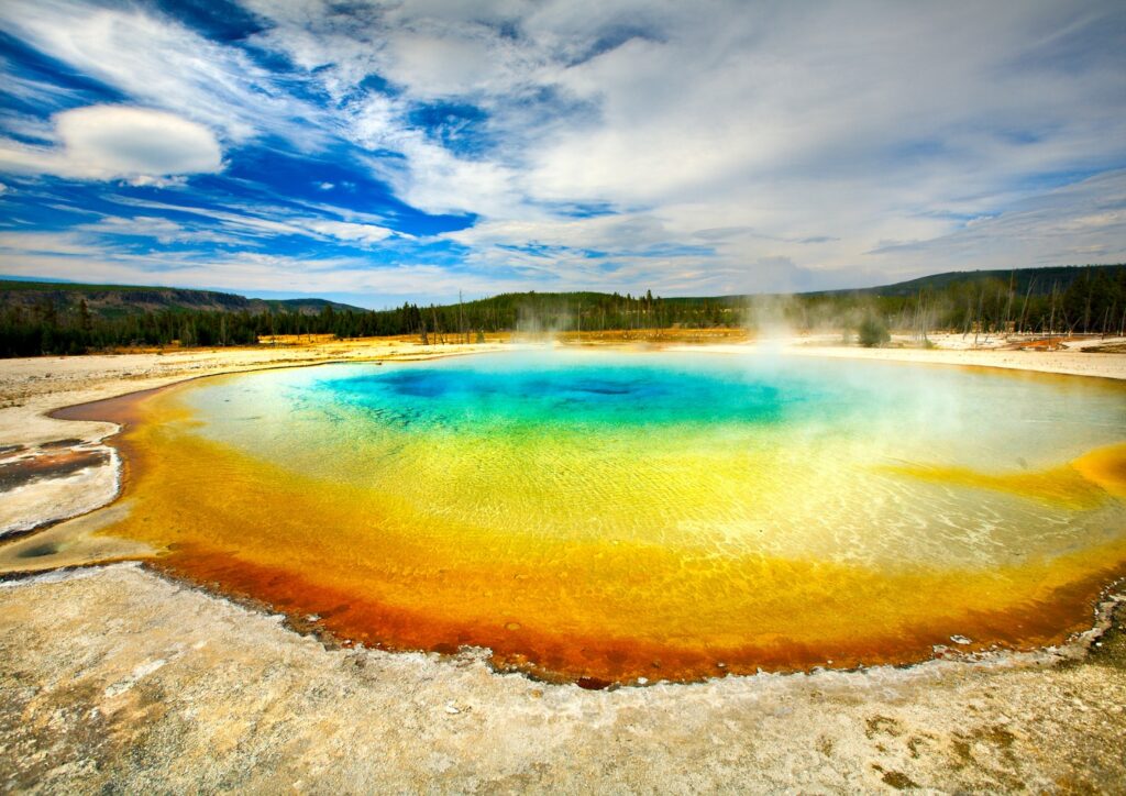 In Yellowstone, there's a mesmerizing geothermal display of boiling mud, colorful springs, and the renowned Old Faithful geyser , best for senior nature trips!
