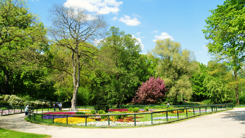 An image of the Tiergarten Park.