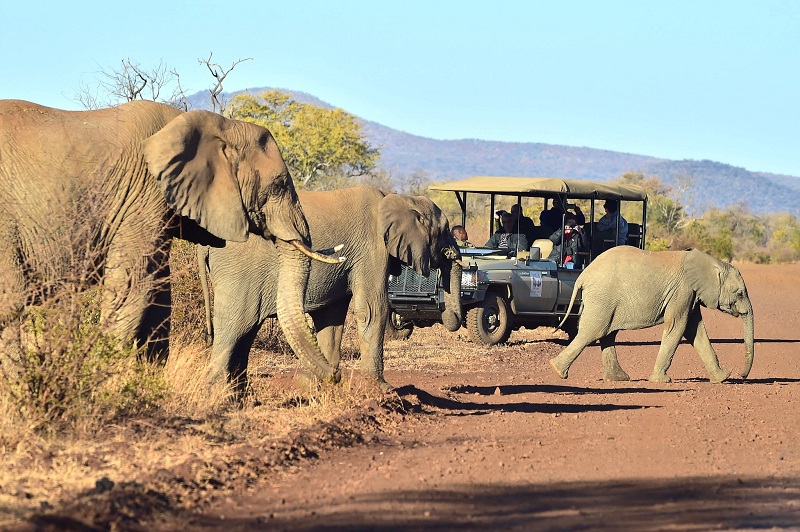 The South African government has a "Wild Card" system that allows seniors good discounts on entry fees to various national parks and reserves.