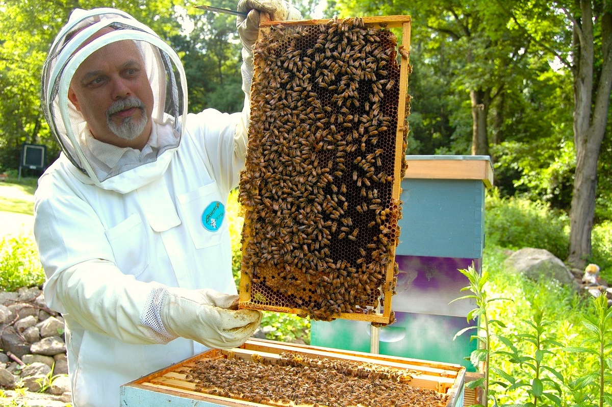 Senior Beekeeping: 4 Amazing Benefits for Seniors