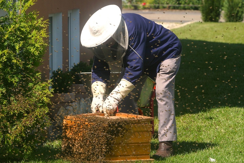 Maintenance tasks like cleaning and repairing hives involve bending, squatting, and reaching for stability.