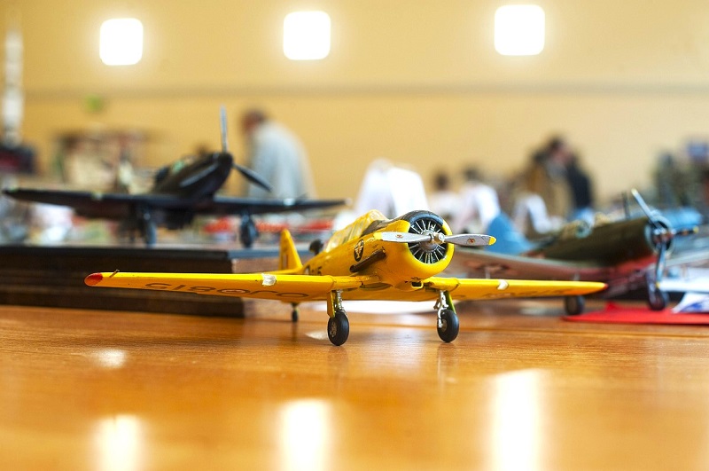 As far as engaging senior hobbies go, scale models that depict classic cars, trains, airplanes, and ships tend to be quite popular among retirees. 