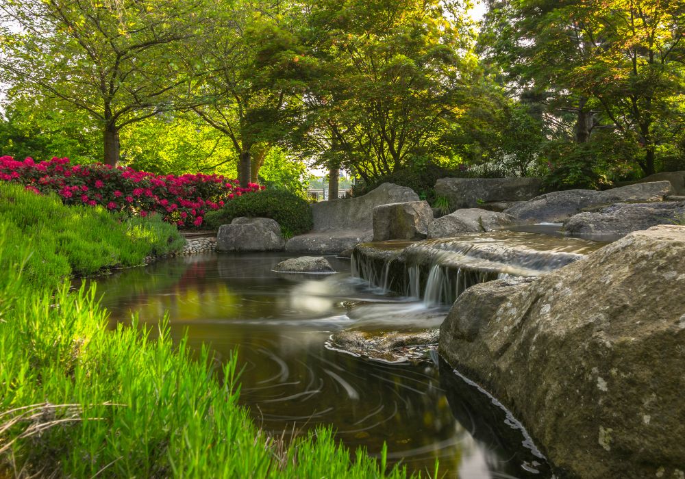 An image of a water garden at the Planten un Blomen. 